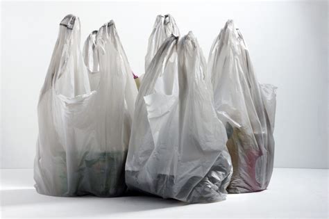 DU professor weighs in on plastic bag, Styrofoam ban