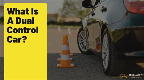 dual control adalah - elchoricharrua.com