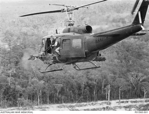 dual m60 - elchoricharrua.com