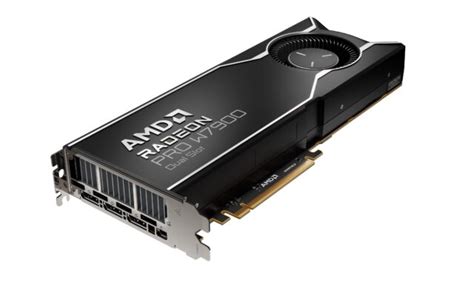 dual slot - elchoricharrua.com