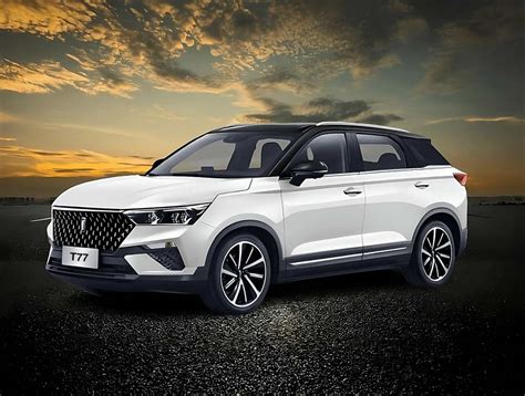 dual t77 - elchoricharrua.com