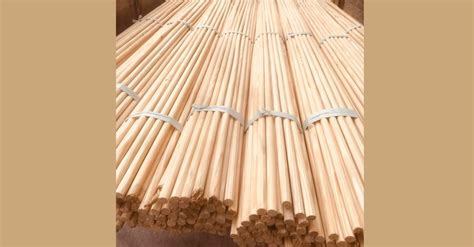 ducgo - elchoricharrua.com