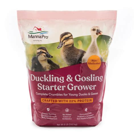 Duckling Feed - raincitystudios.com