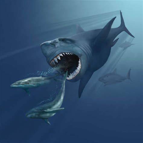 Dunia Hewan: Megalodon, Antara Fosil dan ... - National Geographic - raincitystudios.com