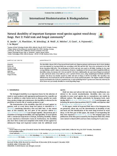 Durability of Heat-Treated Eucalyptus Wood Against Decay Fungi - raincitystudios.com