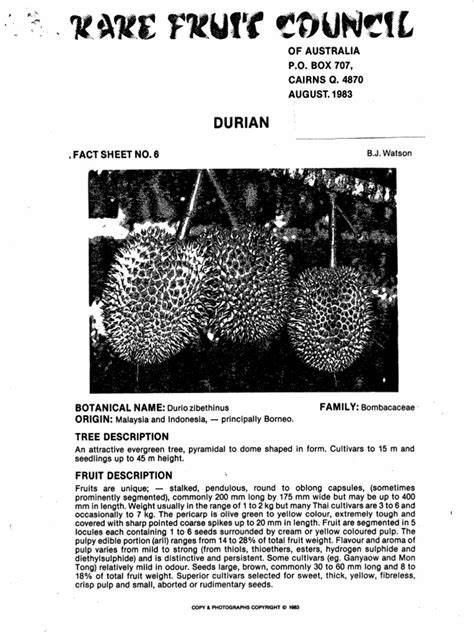 Durian Cultivation Guide and Clones - raincitystudios.com