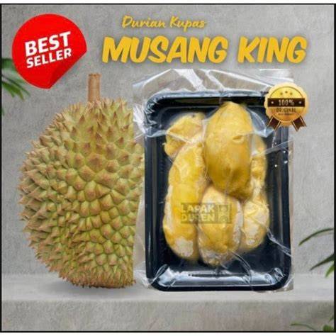 Durian Musang King Harga Termurah - Pilihan Favorit - raincitystudios.com
