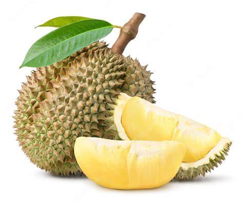 Durian - raincitystudios.com