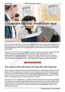 DVA-C02 Online Test