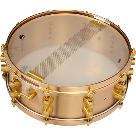 DW True Cast Bronze Snare Drum 14 x 8 in. Musician