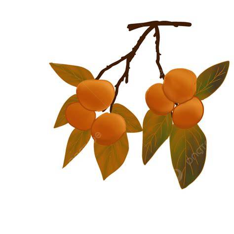 Dwarf Fruit PNG Transparent Images Free Download | Vector Files - raincitystudios.com