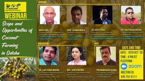 Dwarf hybrid coconut farming for climate resilience and … - raincitystudios.com