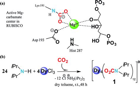 DY4 - Discussion on Hemoglobin Adaptations in Animals - muktibox.com