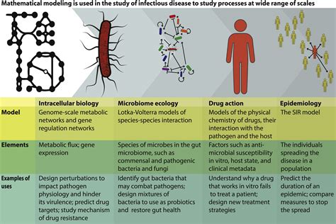 Dynamics of disease spread: A mathematical modeling approach in ... - coolestguyplanet.net
