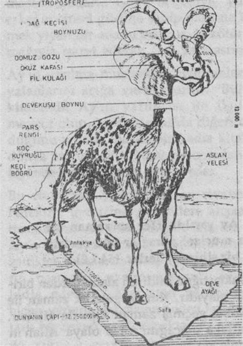 Dabbetül arz nedir. 