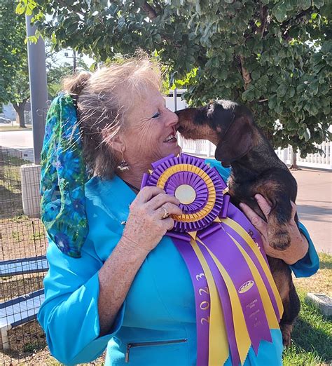 Dachshund Breeder Lincolnland Dachshund Club United States