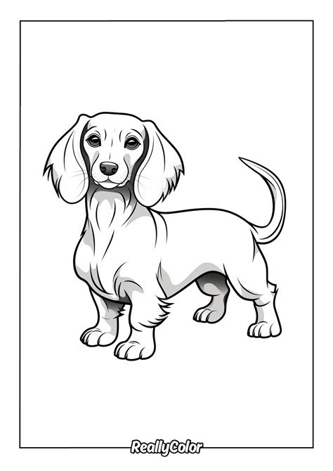 Dinosaur Coloring Pages Free To Print
