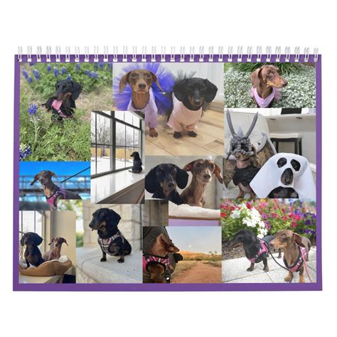 Dachshund Puppies Calendars Zazzle