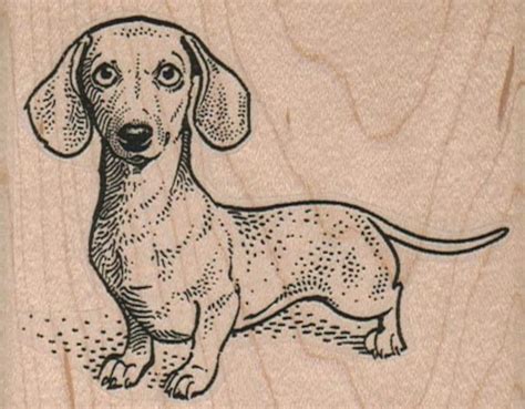 Dachshund Rubber Stamp - Etsy