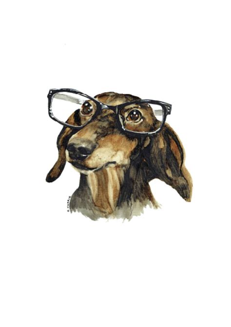 Dachshund Wearing Glasses Shirt - Etsy