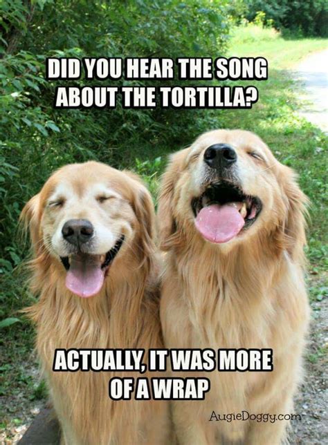 Dad joke of the day. Things To Know About Dad joke of the day. 