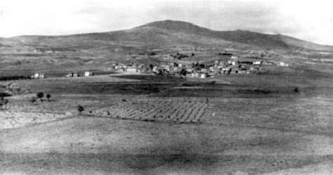 Dadagi Halı ve Koltuk Yıkama