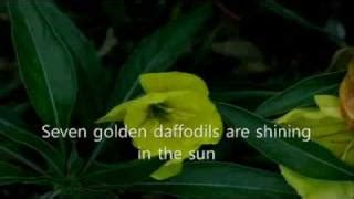 Daffodils-Longer Version Chords - ChordU