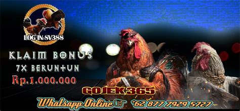 Daftar bandar togel kentucky midnight. Sabung ayam online wala meron. Bocoran slot rtv hari.