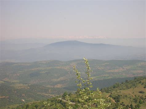 Dagardi Halı ve Koltuk Yıkama