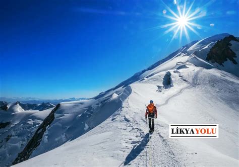 Dagcilik Halı ve Koltuk Yıkama