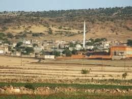 Dagdancik Halı ve Koltuk Yıkama