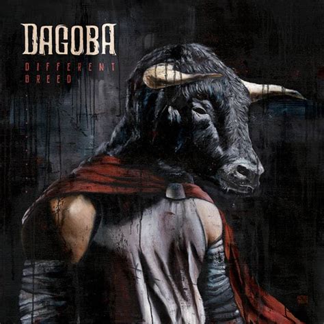 Dagoba Halı ve Koltuk Yıkama