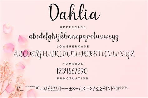 Dahlia Font · 1001 Fonts