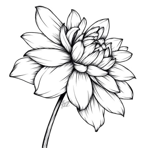 Marker Flower Drawing