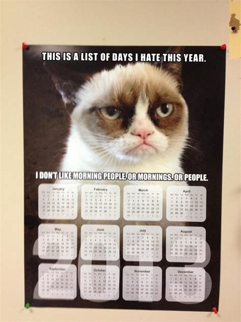 Daily Calendar Funny