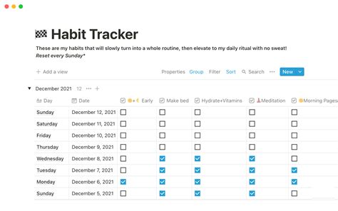 Daily Habit Tracker Notion Template
