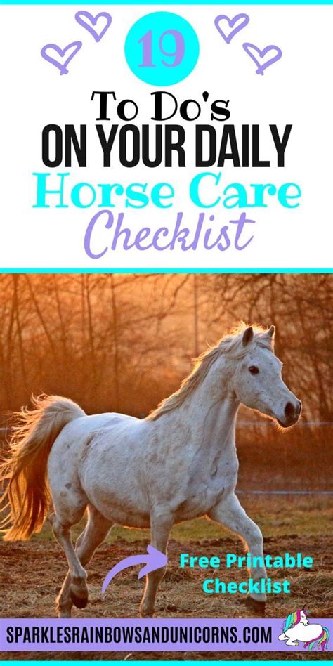 Daily Horse Care List For A Happy Healthy Horse: Free Printable Checklist