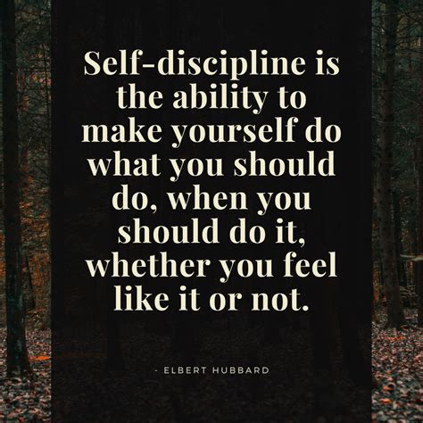 Daily Mindset Motivation Success Quotes How Self-Discipline Can Help …