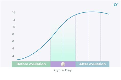 Daily Progesterone Levels After Ovulation What to Expect