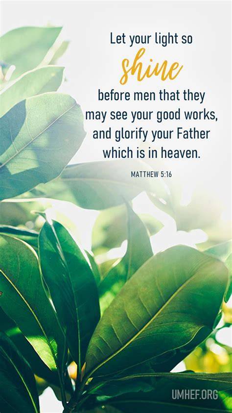 Daily bible verse light for the day.  They will be internal.  Your thoughts.  Light for the Day...