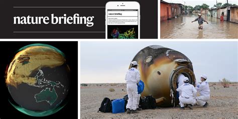 Daily briefing: The month’s best science images - Nature