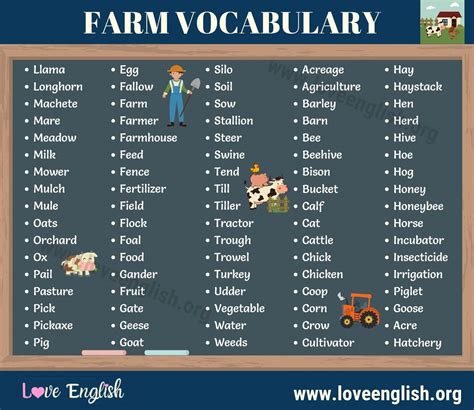 Dairy Farm Words - 400+ Words Related to Dairy Farm