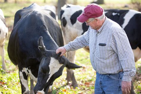 Dairy Farmers – Dairy Farmers