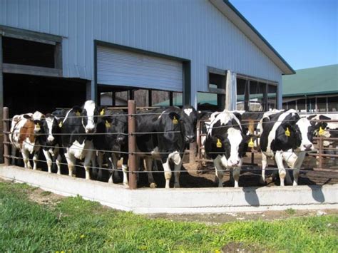 Dairy farms near me. Things To Know About Dairy farms near me. 