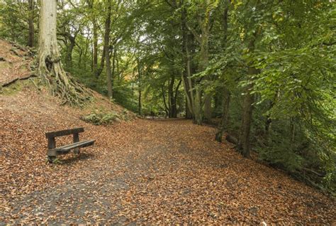 Daisy Nook Country Park, between Ashton and Oldham