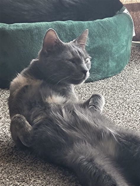 Daizyxx Leaked 🍆 (SEX)