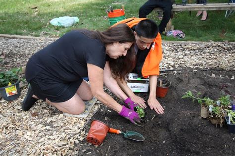 Dakota County Juvenile Services partners with master gardeners to nurture growth
