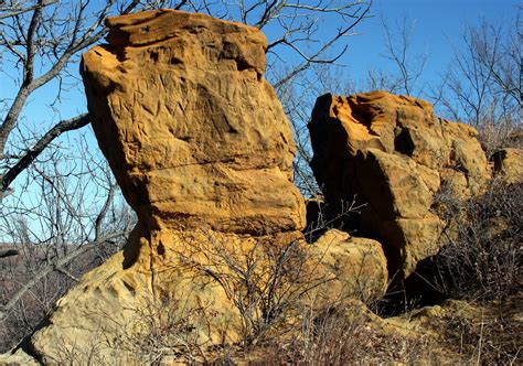 The Newcastle Sandstone is only a few tens of feet thick where it crops out on the flanks of the Black Hills Uplift, but its subsurface equivalent, the Dakota Sandstone, is more than 400 feet thick in southeastern South Dakota. The Newcastle (or Dakota) Sandstone is absent in much of North Dakota, and the thickness of the Muddy Sandstone, which .... 