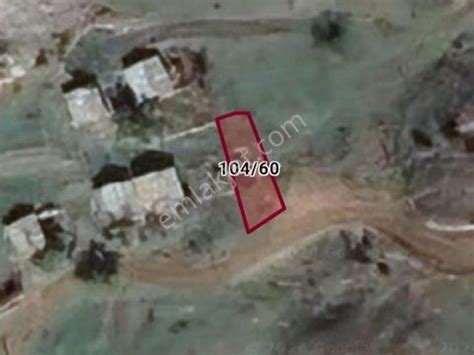 Dalavut Halı ve Koltuk Yıkama