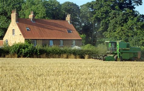 Dale Cottage Farm (@dalecottagefarm) - Instagram